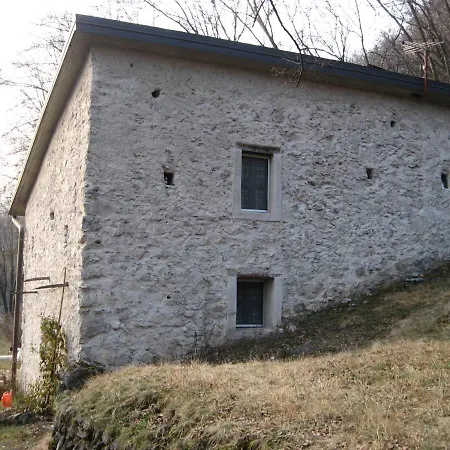 Faggio Rosso - Red Beech Solto Collina